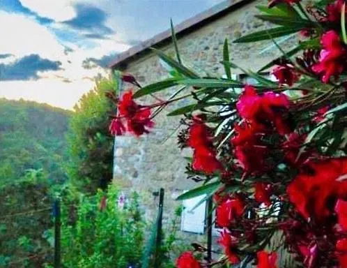 Bed and Breakfast Cambrassa Vals-les-Bains