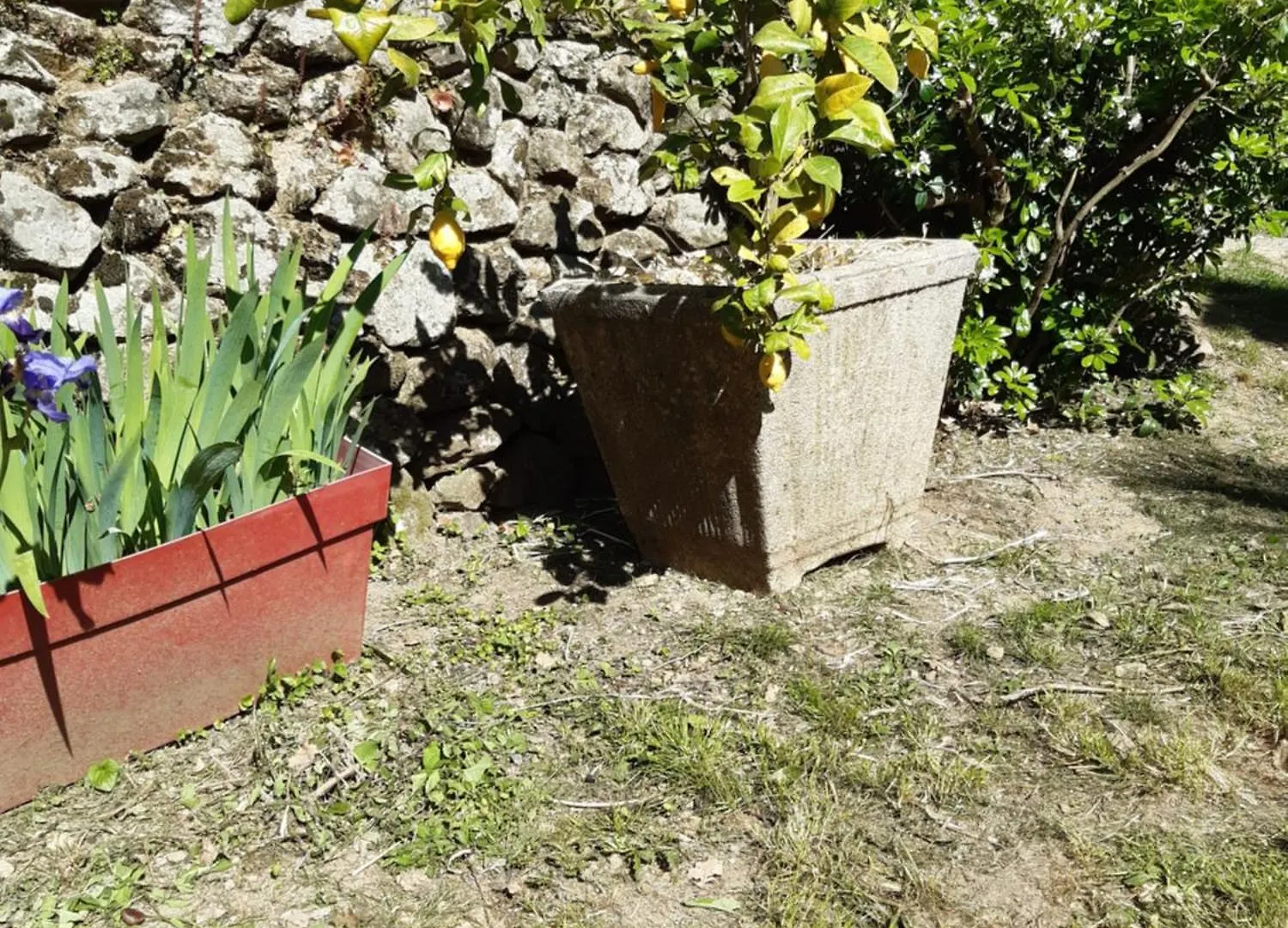 Bed and Breakfast Cambrassa Vals-les-Bains 0*,